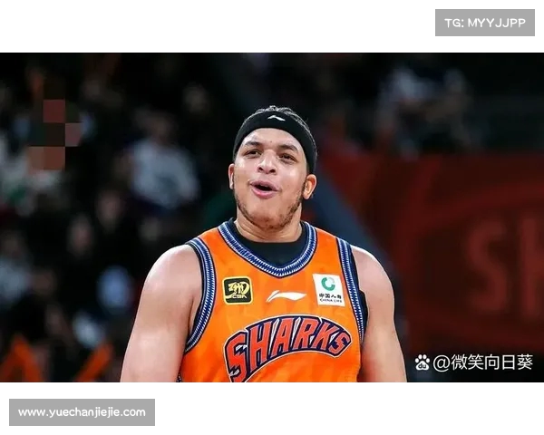 NBA教练战术解析：从进攻布置到防守策略的全面剖析与实战应用
