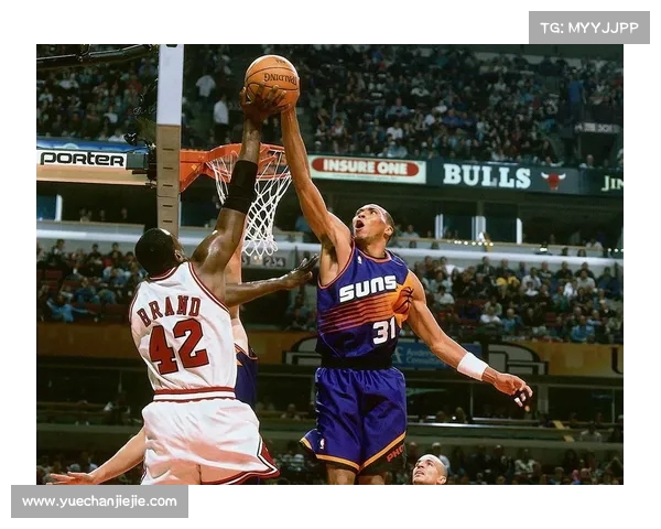 NBA悍将:锋线风云再起 NBA悍将:锋线风云再起