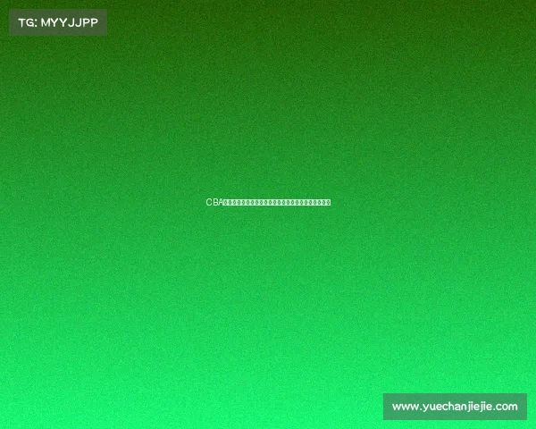 CBA数据王：全面解析当前赛季顶尖球员的表现与背后故事