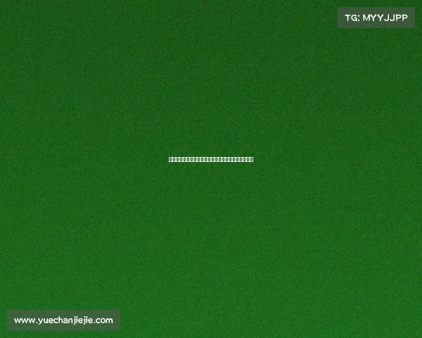 霍芬海姆足球俱乐部：德甲新兴力量的崛起与挑战分析